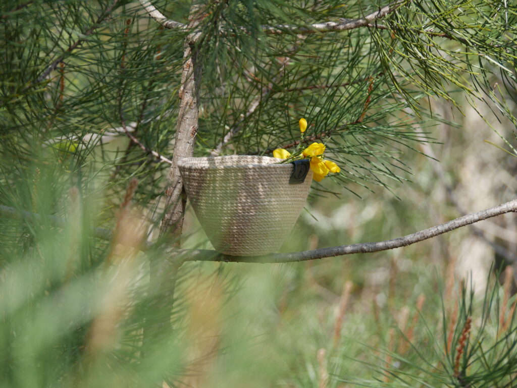 Panier cutiot